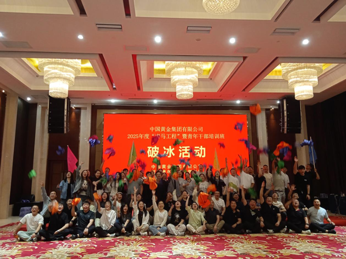 图片6