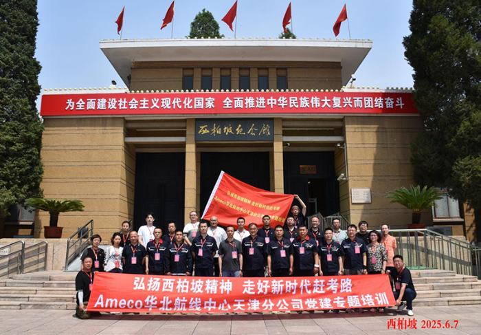 图片8