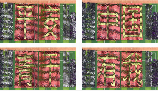 31f877a02ccc9a299267fcdf47f10675