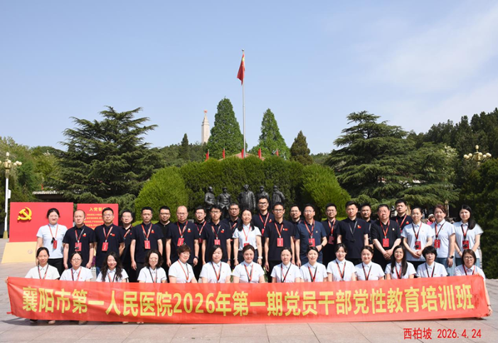 图片6
