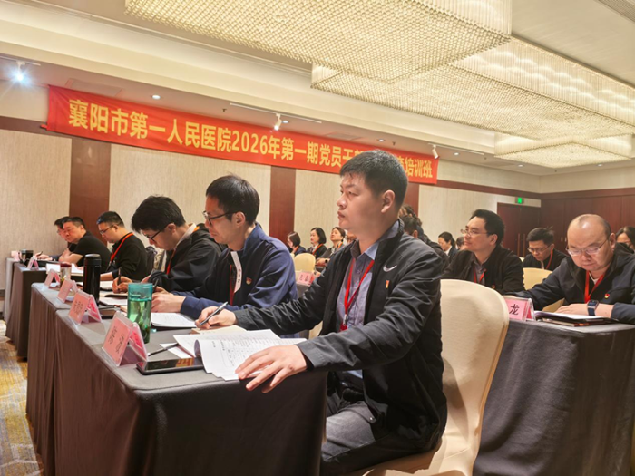 图片8