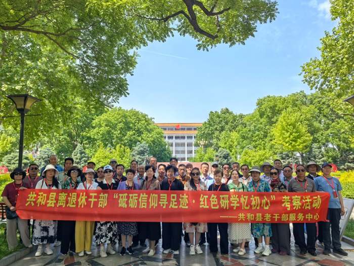 图片12