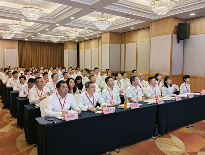 图片31