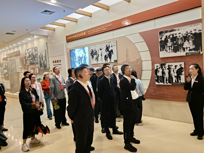 图片33